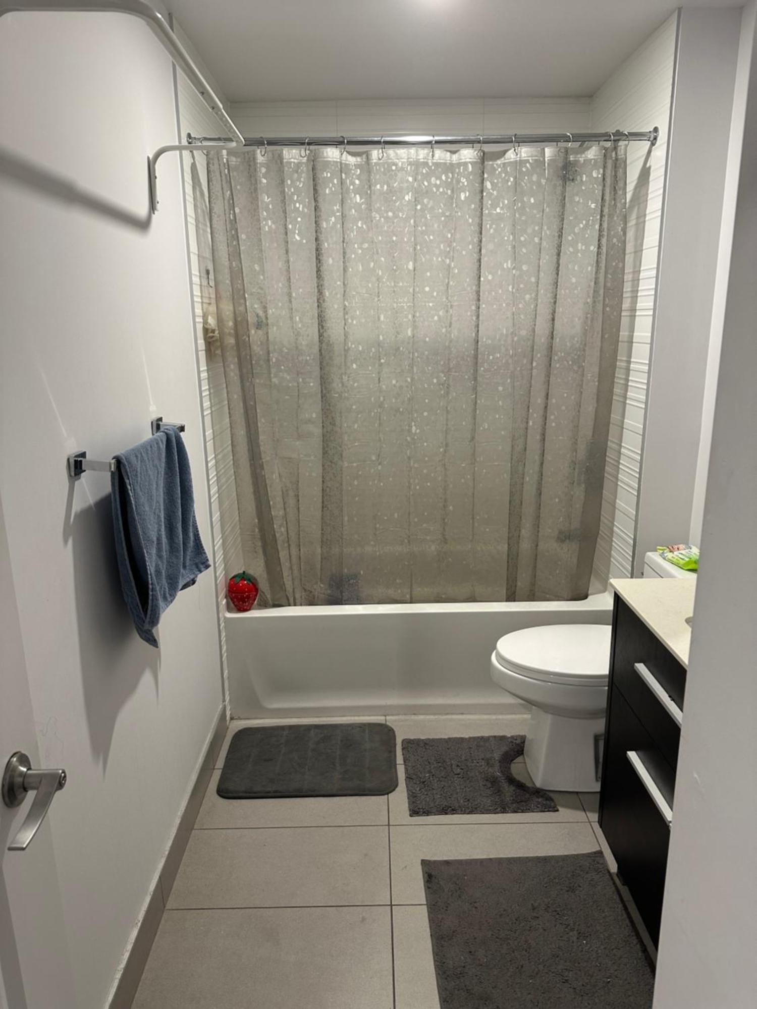 Apartment Charming Two Bedroom Downtown Montreal